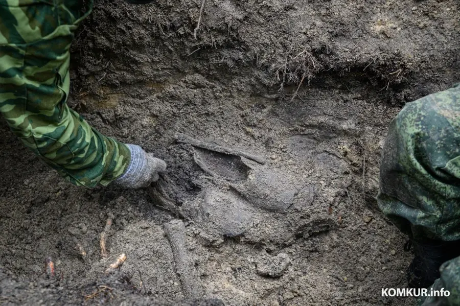 03.06.2025. Р93, Мышковичский сельский Совет, Кировский район, Могилёвская область, Беларусь. Поисковая экспедиция «Бобруйский котел» Могилевского областного