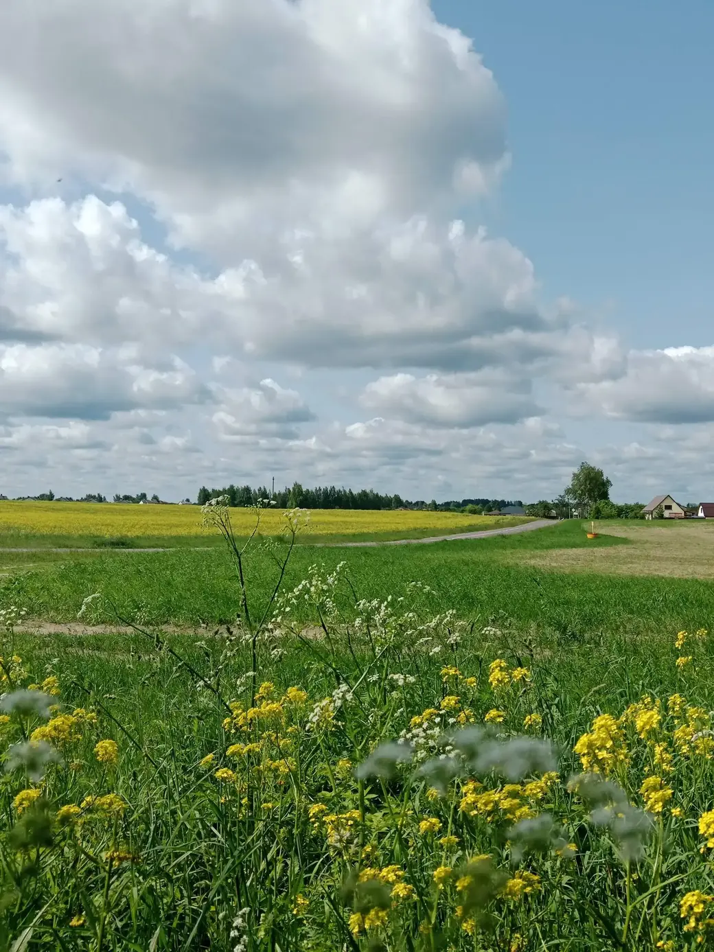 Фото Вячеслава Ванчукевича.