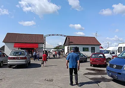 Глусский рынок по средам: рассада, овощи и комбайн для черники