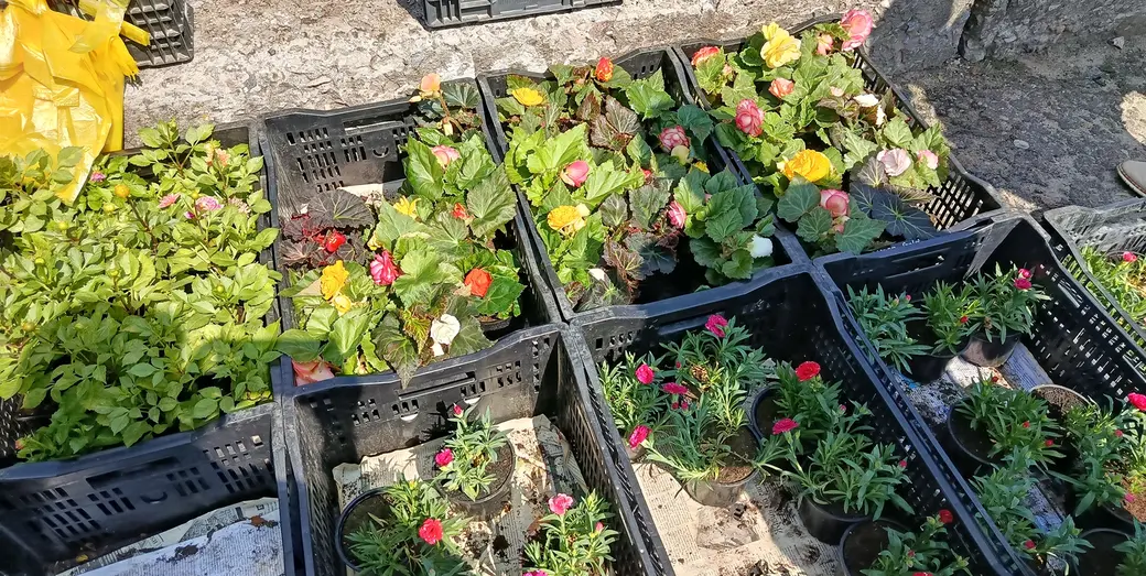 04.06.2025 год. Центральный глусский рынок.