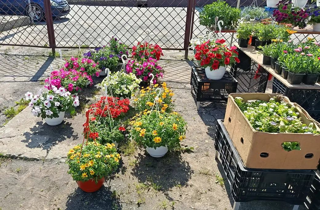 04.06.2025 год. Центральный глусский рынок.