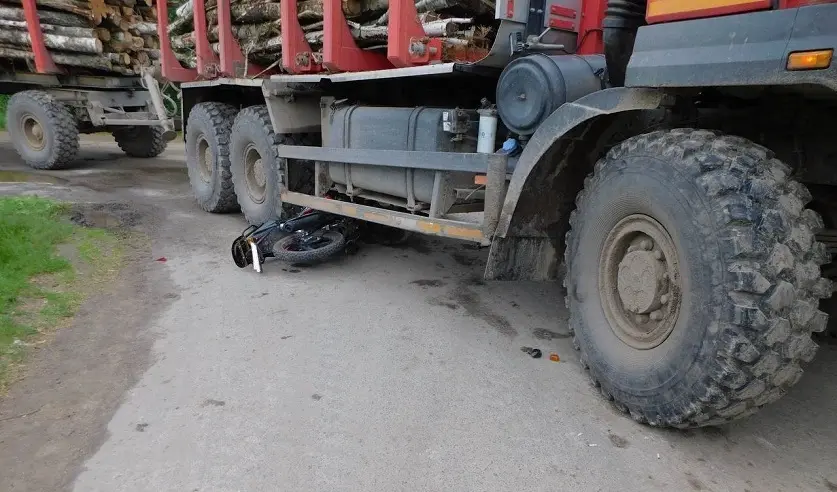 Фото: УГКСЭ по Могилевской области