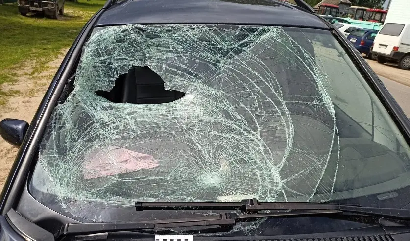 Фото: УГКСЭ по Могилевской области