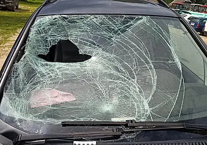 Четыре уголовных дела в отношении водителей возбуждено в Могилевской области с начала лета