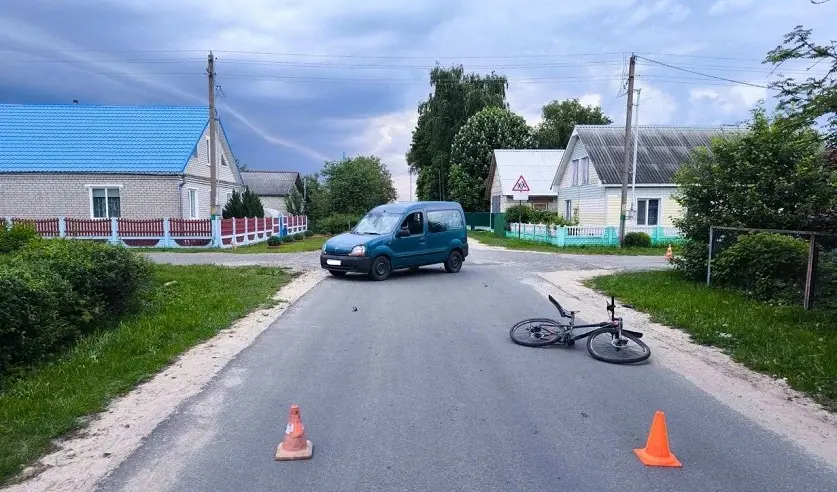 Фото: УГКСЭ по Могилевской области