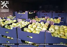105 тонн яблок и груш без документов пытались вывезти из Беларуси в Россию