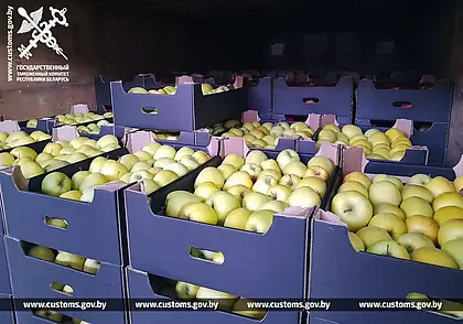 105 тонн яблок и груш без документов пытались вывезти из Беларуси в Россию