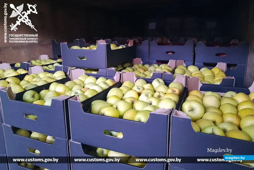105 тонн яблок и груш без документов пытались вывезти из Беларуси в Россию