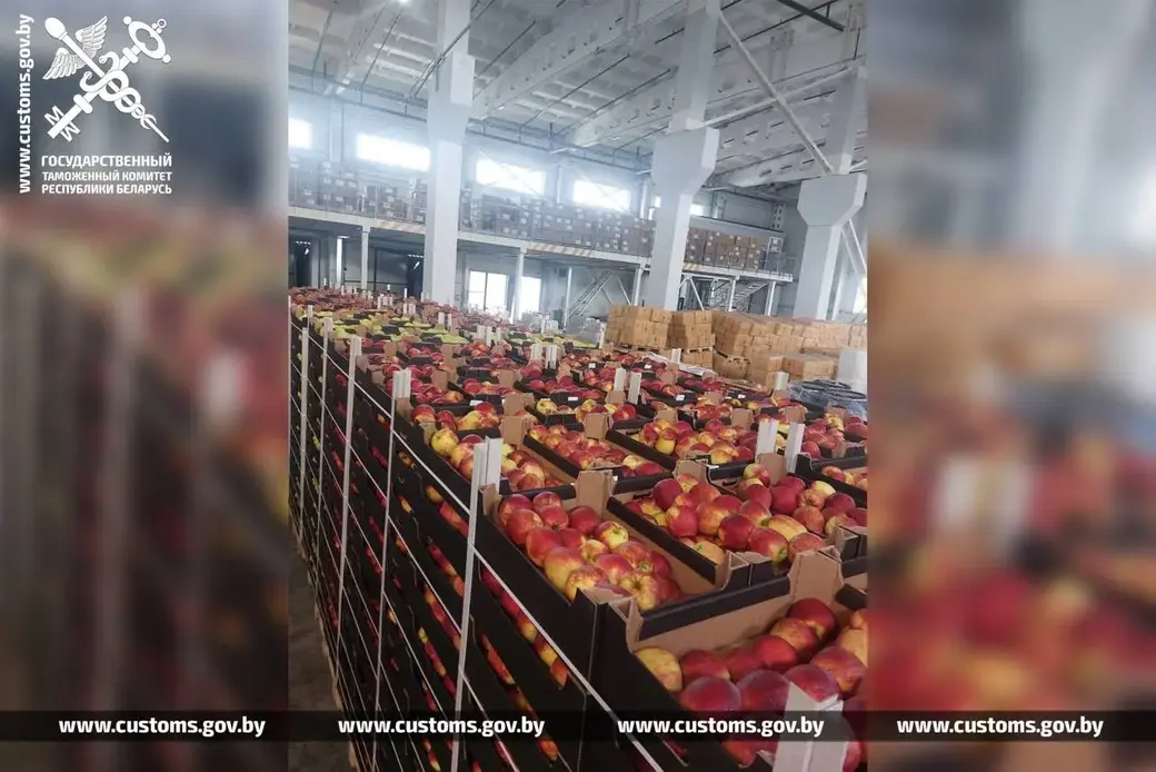 105 тонн яблок и груш без документов пытались вывезти из Беларуси в Россию