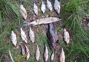 Более 1,2 тысячи рублей – за рыбалку. Бобруйские природоохранники задержали браконьера