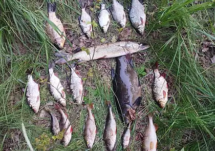 Более 1,2 тысячи рублей – за рыбалку. Бобруйские природоохранники задержали браконьера