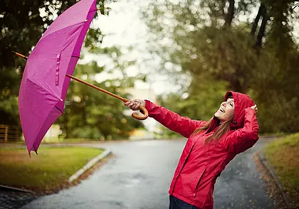 Оранжевый уровень опасности из-за жары и сильного ветра объявлен на Могилевщине 6 июня