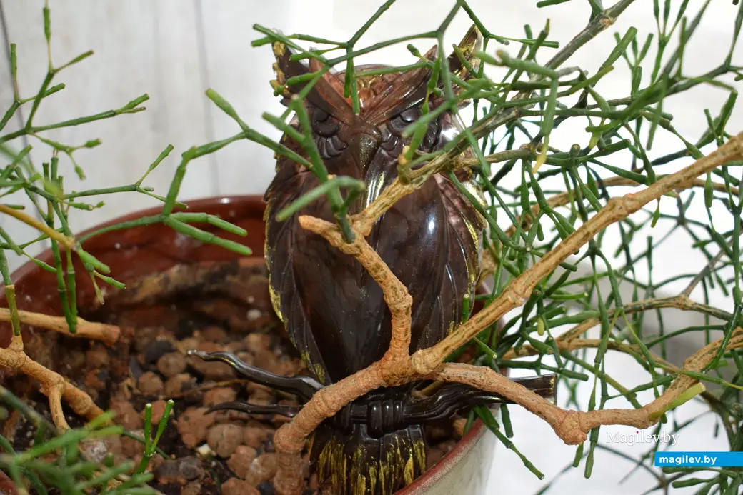 4.06.2025 , Бобруйск. Изделия Евгении Николаевны и Николая Ивановича Пасько