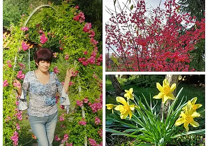 Какие деревья, кусты и цветы подходят для сада без хлопот? Рассказала ландшафтный дизайнер