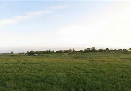 Бык насмерть забодал мужчину в Речицком районе