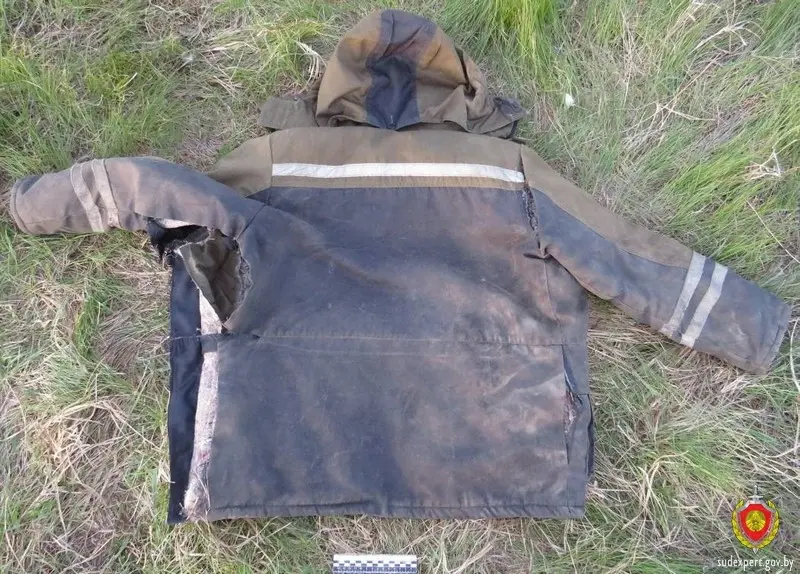 В Речицком районе бык причинил телесные повреждения пенсионеру. Фото: Государственный комитет судебных экспертиз Республики Беларусь.