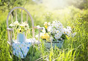 Без дождей и всего до 20 градуса тепла: какой будет погода в Могилеве 10 июня