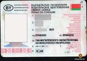 У могилевчанина не было времени на сдачу экзамена в ГАИ и он водительские права… купил