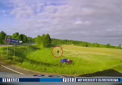 В Горках пьяный водитель удирал от ГАИ, автомобиль съехал в кювет и опрокинулся