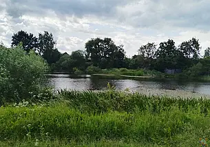 В Бобруйске рыбак спас упавшую в воду 85-летнюю женщину