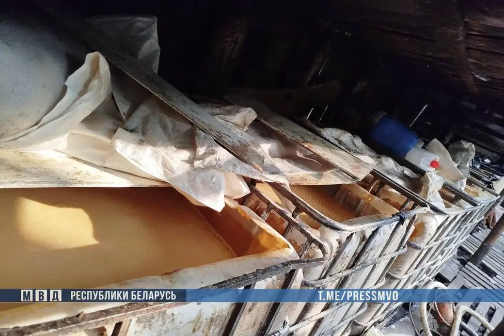 Фото: МВД РБ