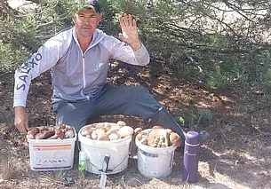 Фотофакт: бобруйчанин собрал три ведра грибов