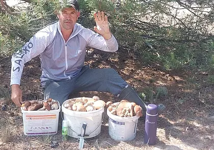 Фотофакт: бобруйчанин собрал три ведра грибов