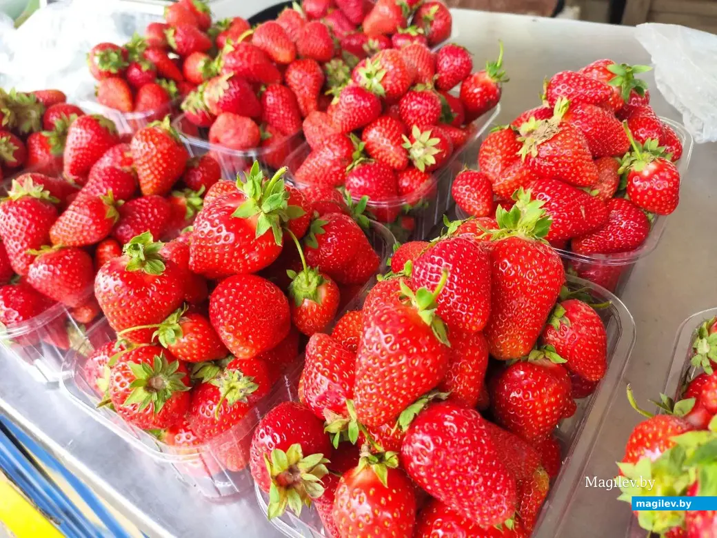 16.06.2025 год. Бобруйск. Рынок «На Красноармейской»