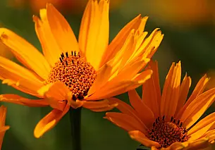 Лето возвращается: 16 июня в Могилеве до 27 градусов тепла