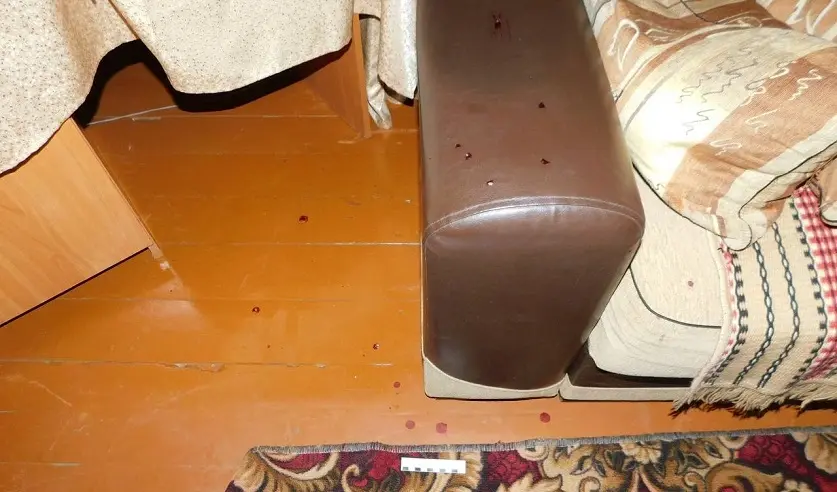 На месте трагедии. Фото: УГКСЭ по Могилевской области.