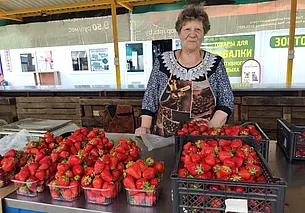 От 8 до 20 руб. за кило. Клубники на рынке в Бобруйске больше, но цена не сильно упала