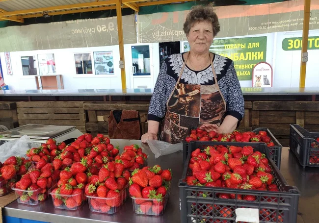 От 8 до 20 руб. за кило. Клубники на рынке в Бобруйске больше, но цена не сильно упала