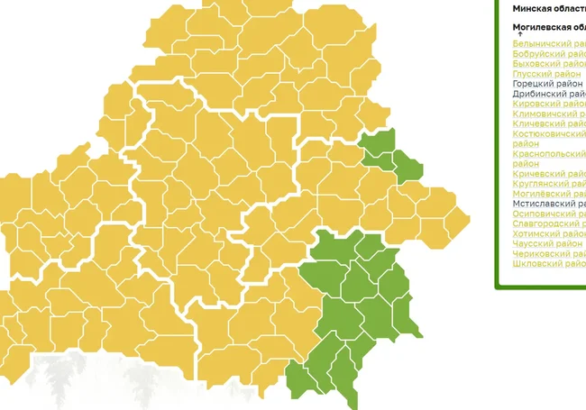 Ограничения на посещение лесов действую практически на всей территории Беларуси