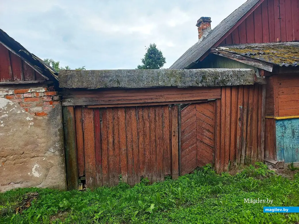 20.06.2025, Могилев, микрорайон Казимировка.