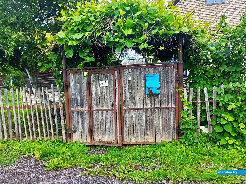 20.06.2025, Могилев, микрорайон Казимировка.