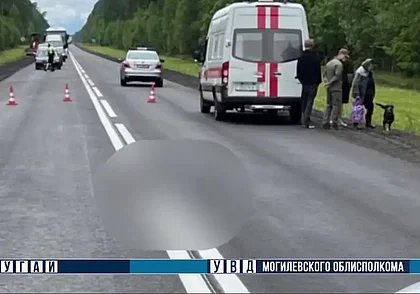 В Быховском районе пешеход перебегал дорогу и попал под колеса автомобиля