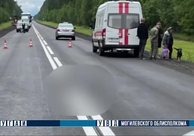 В Быховском районе пешеход перебегал дорогу и попал под колеса автомобиля