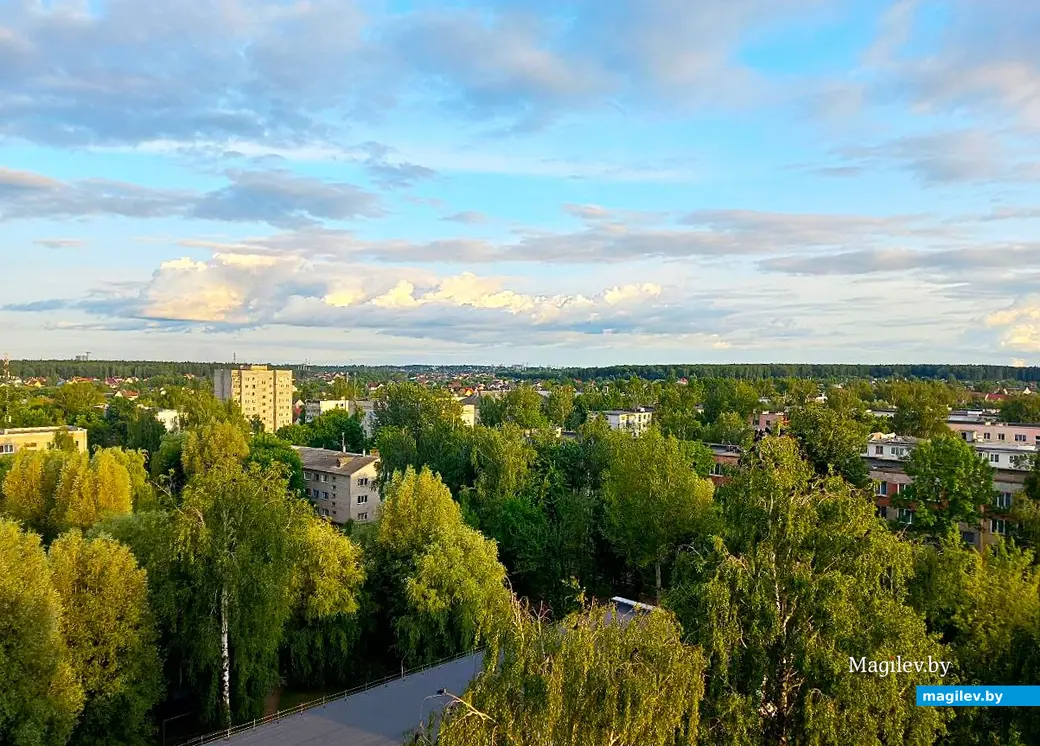 20.06.2025, Могилев, микрорайон Казимировка.