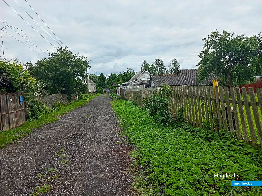 20.06.2025, Могилев, микрорайон Казимировка.