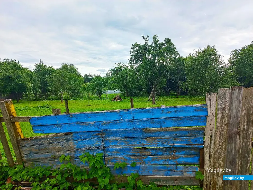 20.06.2025, Могилев, микрорайон Казимировка.