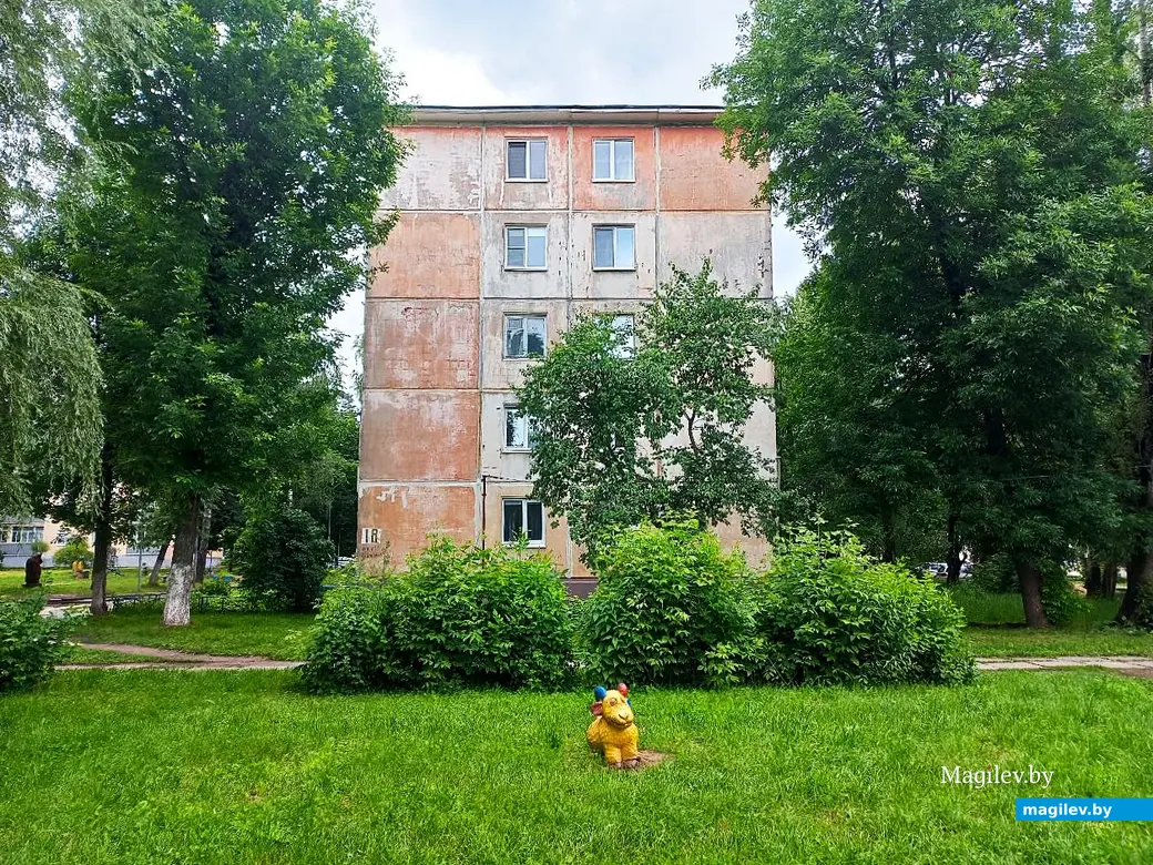 20.06.2025, Могилев, микрорайон Казимировка.