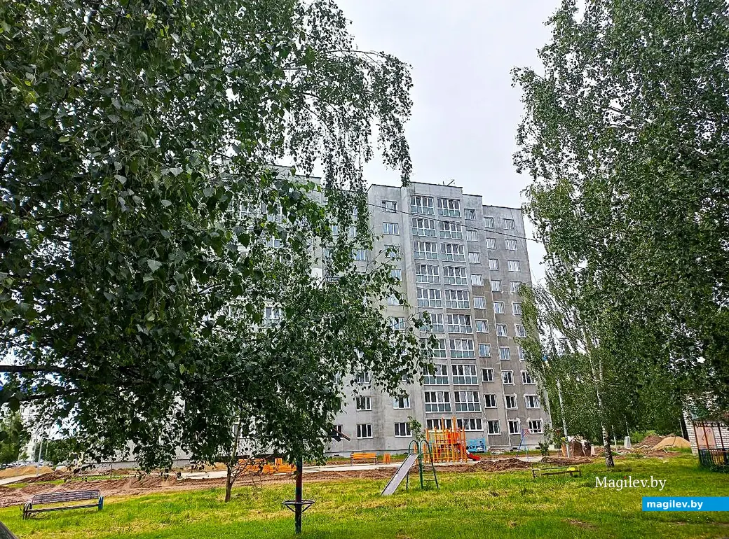 20.06.2025, Могилев, микрорайон Казимировка.