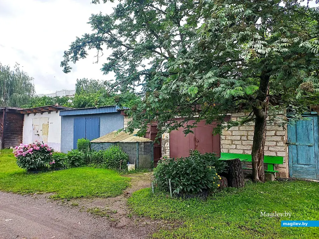 20.06.2025, Могилев, микрорайон Казимировка.