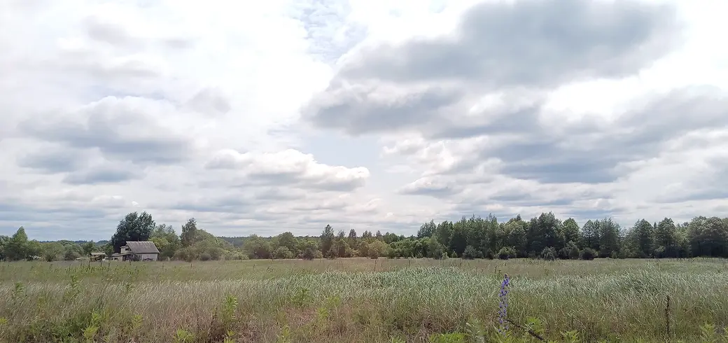 Июнь 2025 года. У дачного поселка «Глусская Росинка».