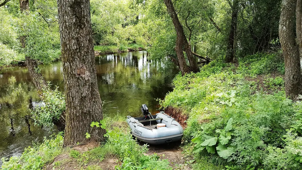 Июнь 2025 года. Река Птичь у дачного поселка «Глусская Росинка».