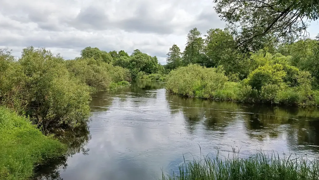 Июнь 2025 года. Река Птичь у дачного поселка «Глусская Росинка».