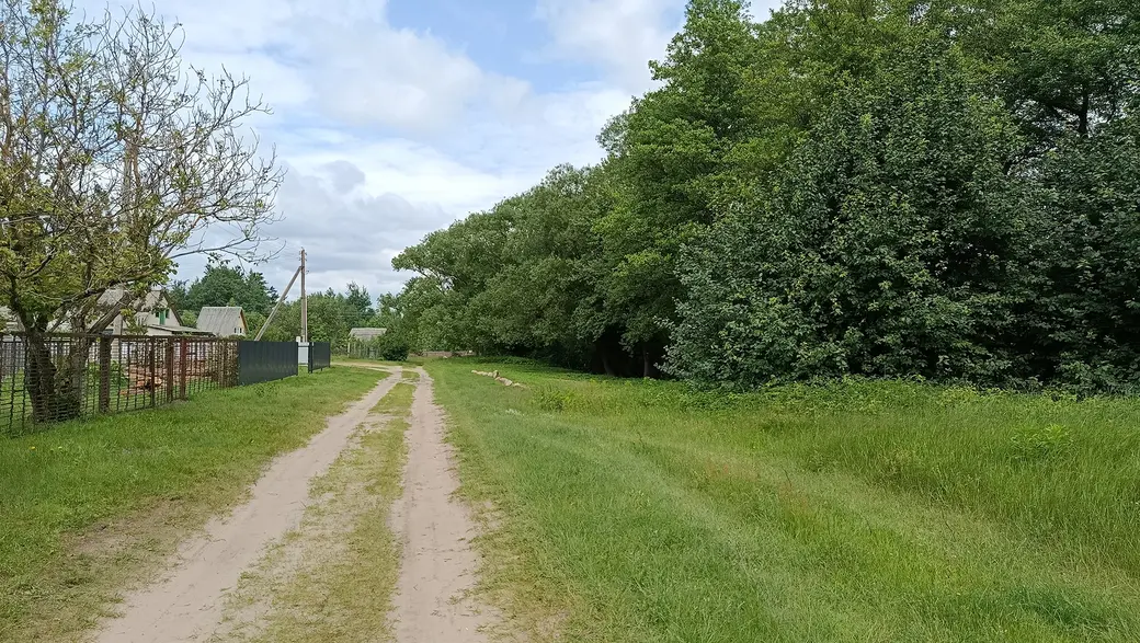 Июнь 2025 года. Дачный поселок «Глусская Росинка».