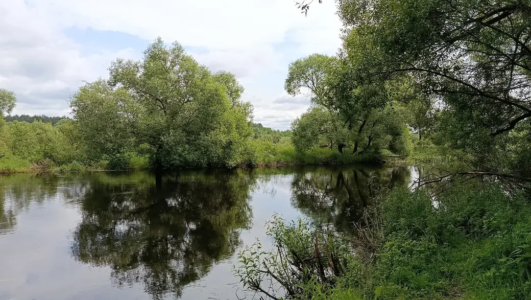 Июнь 2025 года. Река Птичь у дачного поселка «Глусская Росинка».