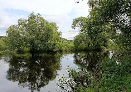 Домики у реки