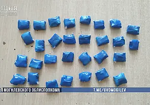 Дуэт наркодилеров из Бобруйска задержали с поличным в Могилевском районе